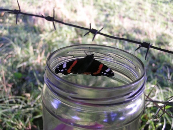 Фотовиставка Тетяни Полуектової